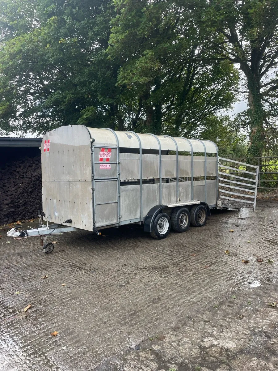 14ft cattle trailer - Image 2