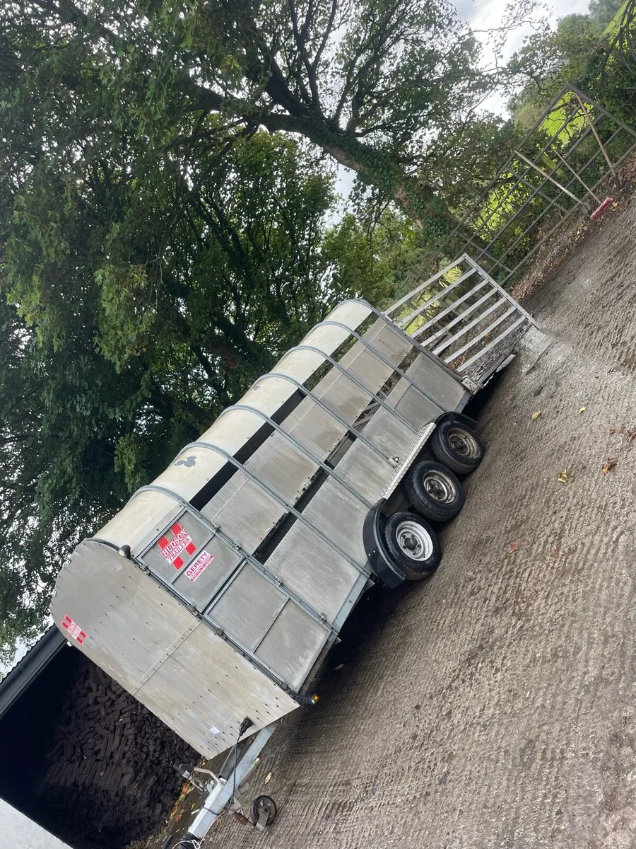 14ft cattle trailer - Image 3