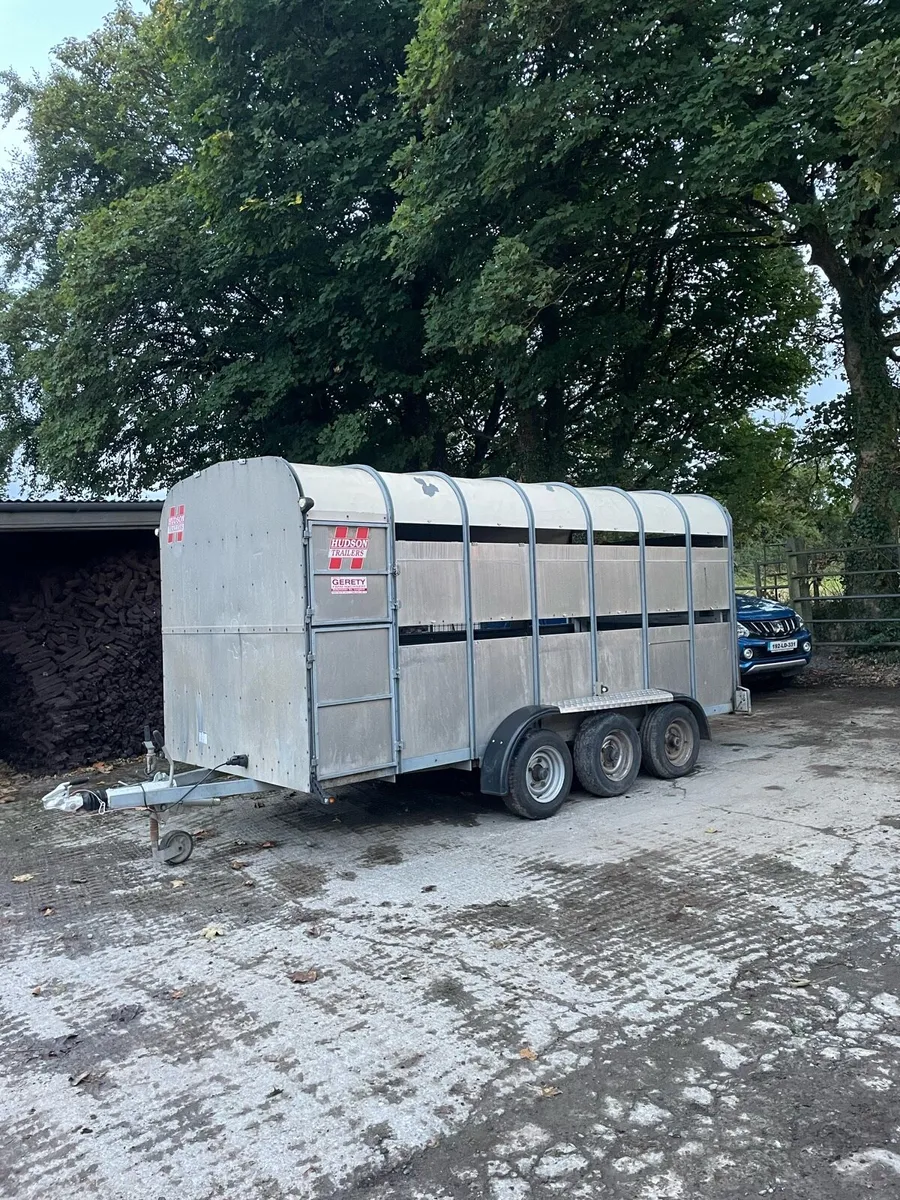 14ft cattle trailer - Image 1