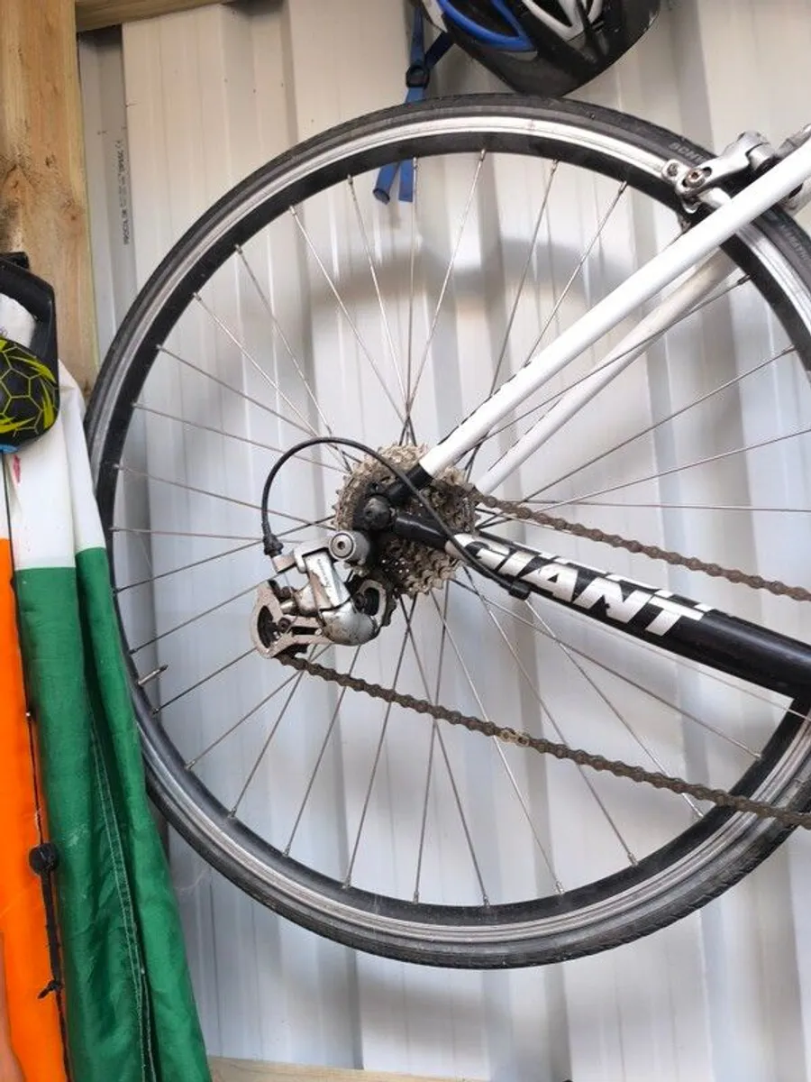giant racer bike - Image 3