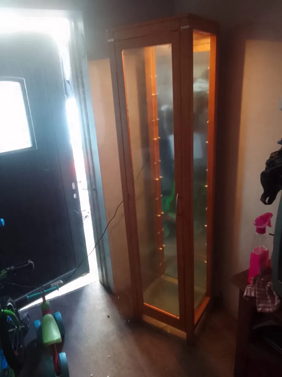 Glass unit