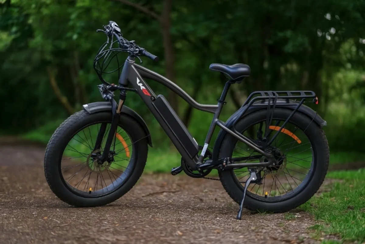 EBIKE - Image 2