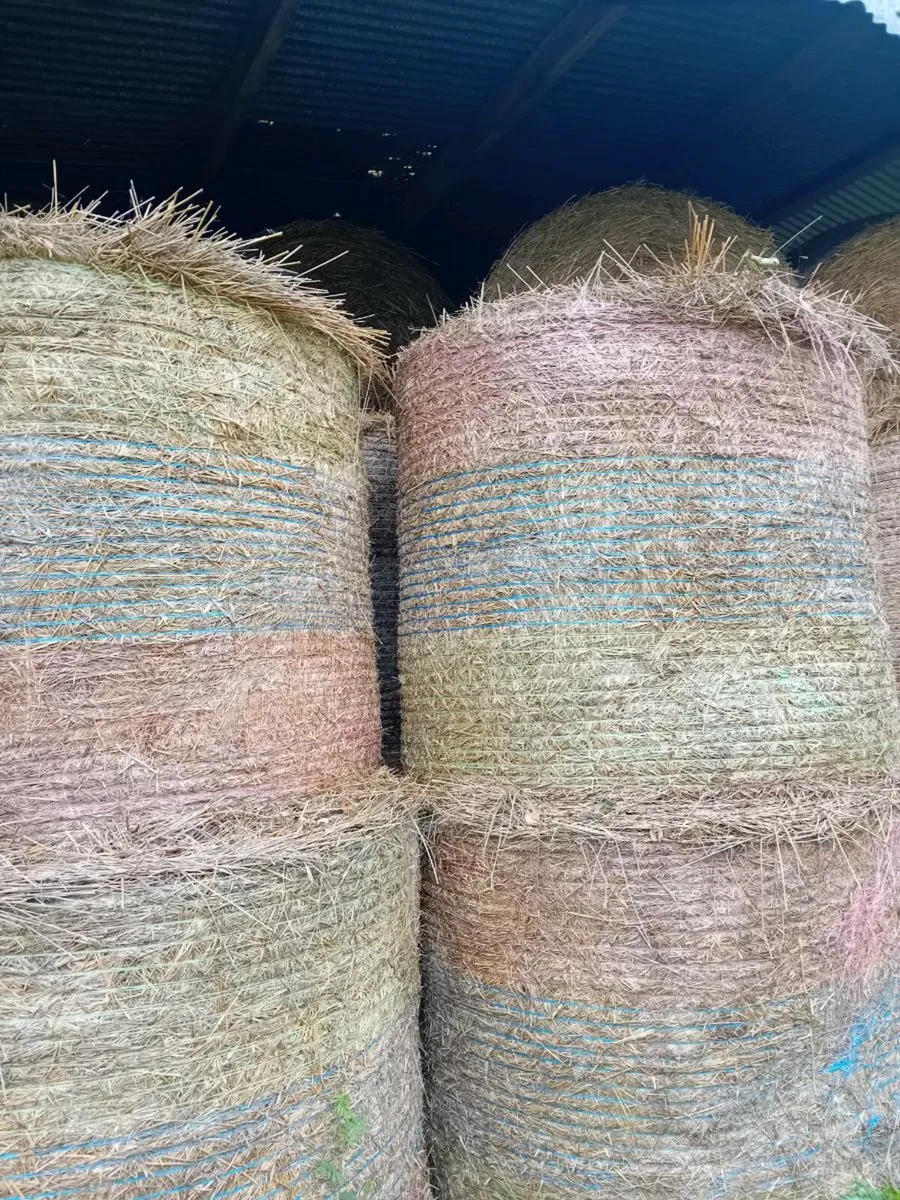 Bales of bedding - Image 1