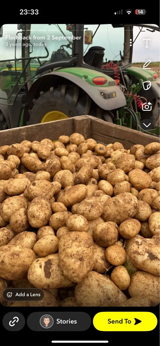 Potatoes Forsale - Image 1