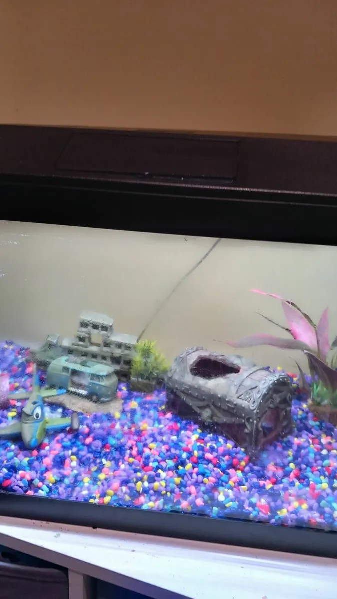 Fish Tank - Image 1