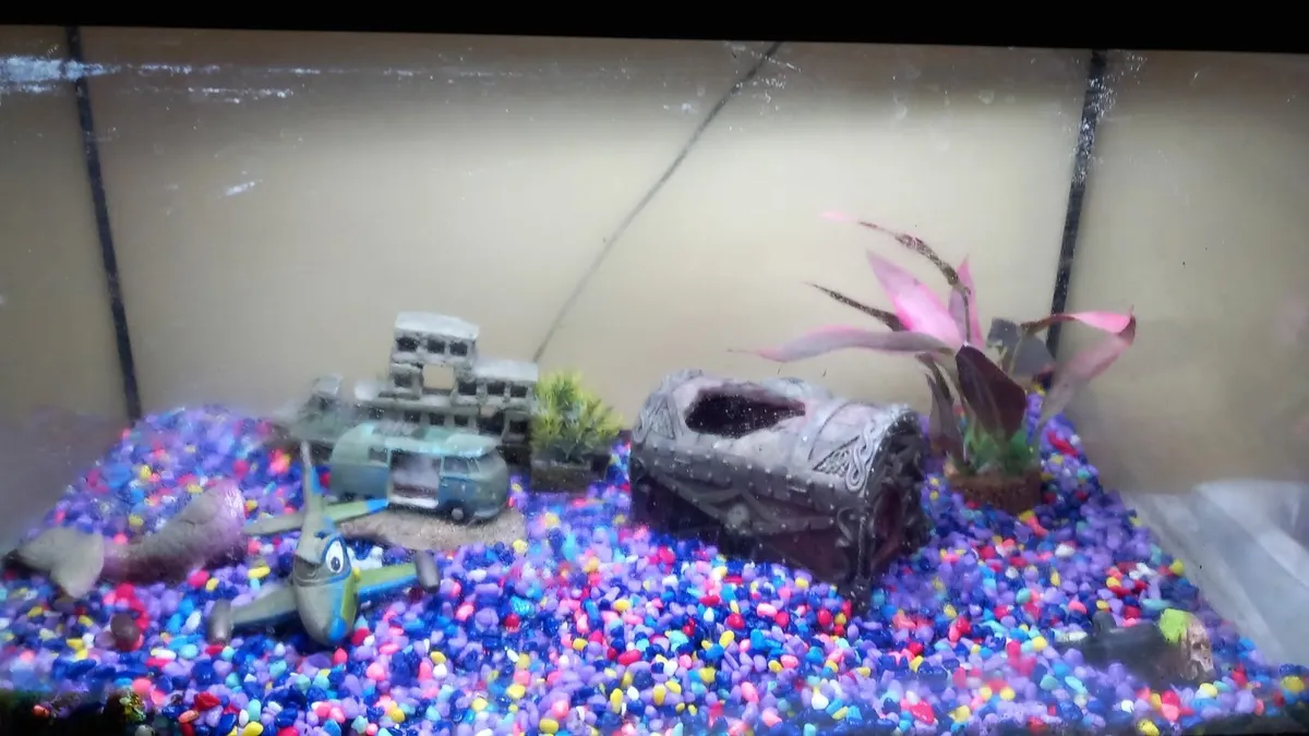 Fish Tank - Image 4