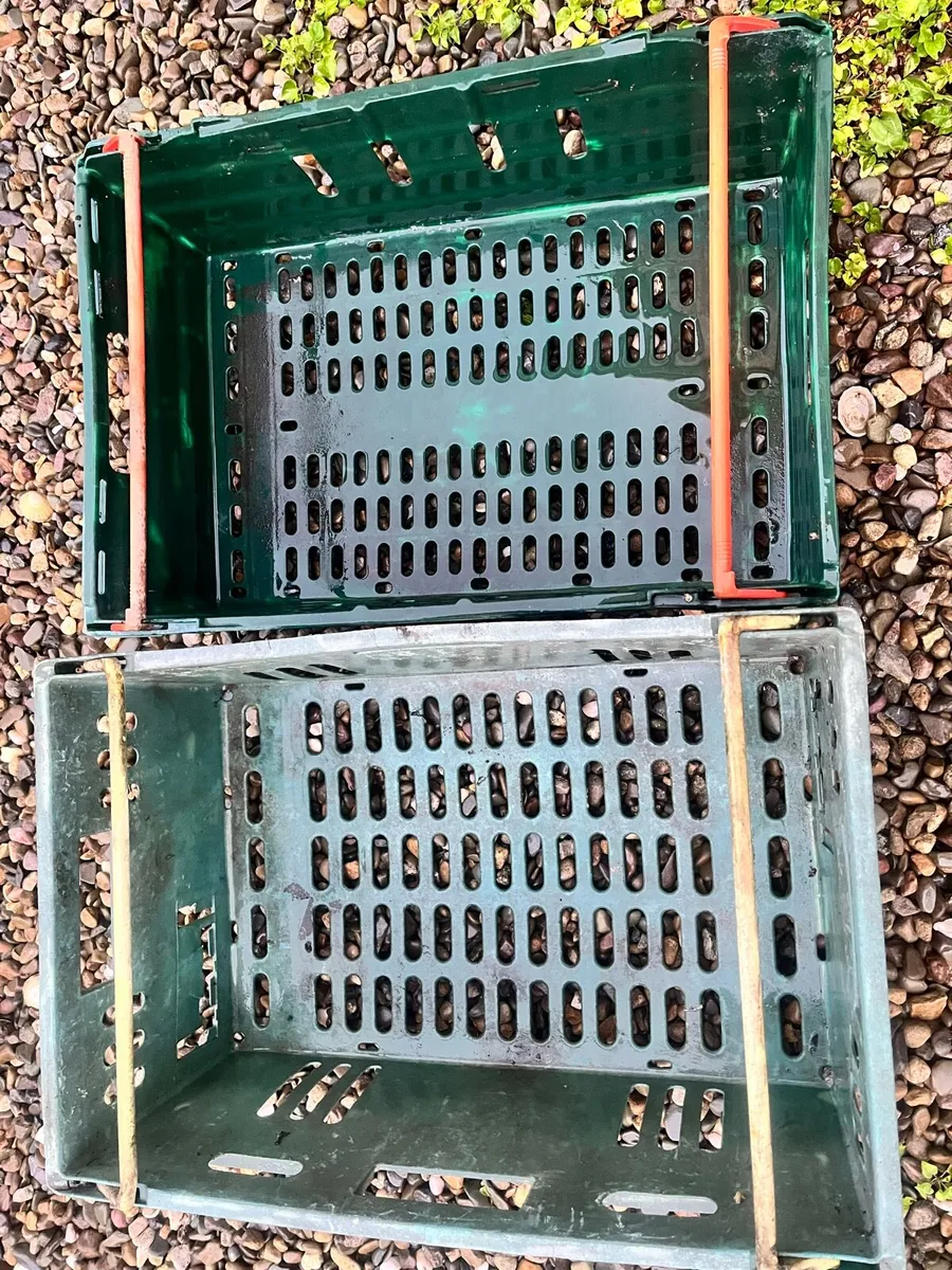 Two boxes - Image 3