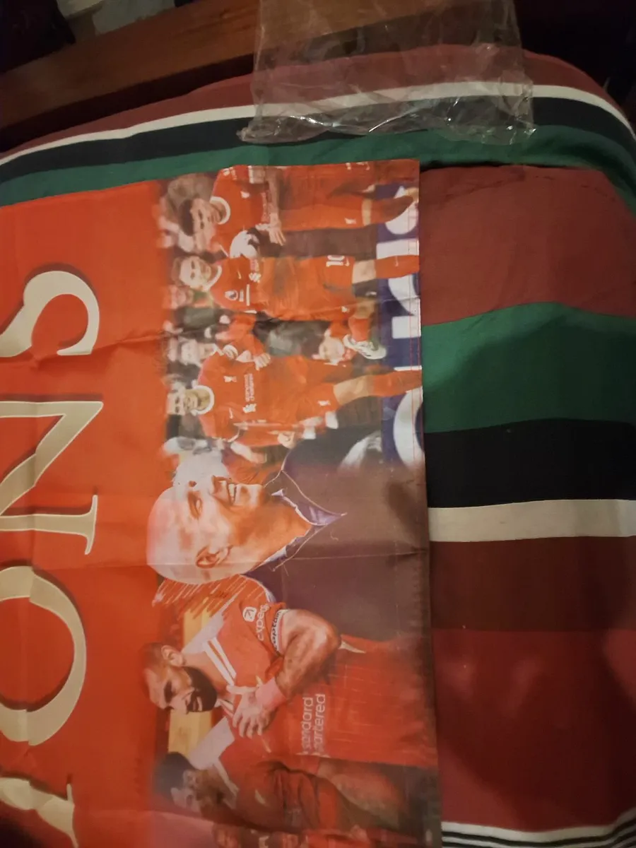 Liverpool 2024/25 league winners flag - Image 2