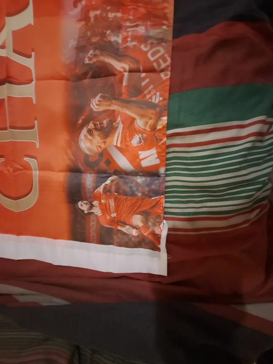 Liverpool 2024/25 league winners flag - Image 3