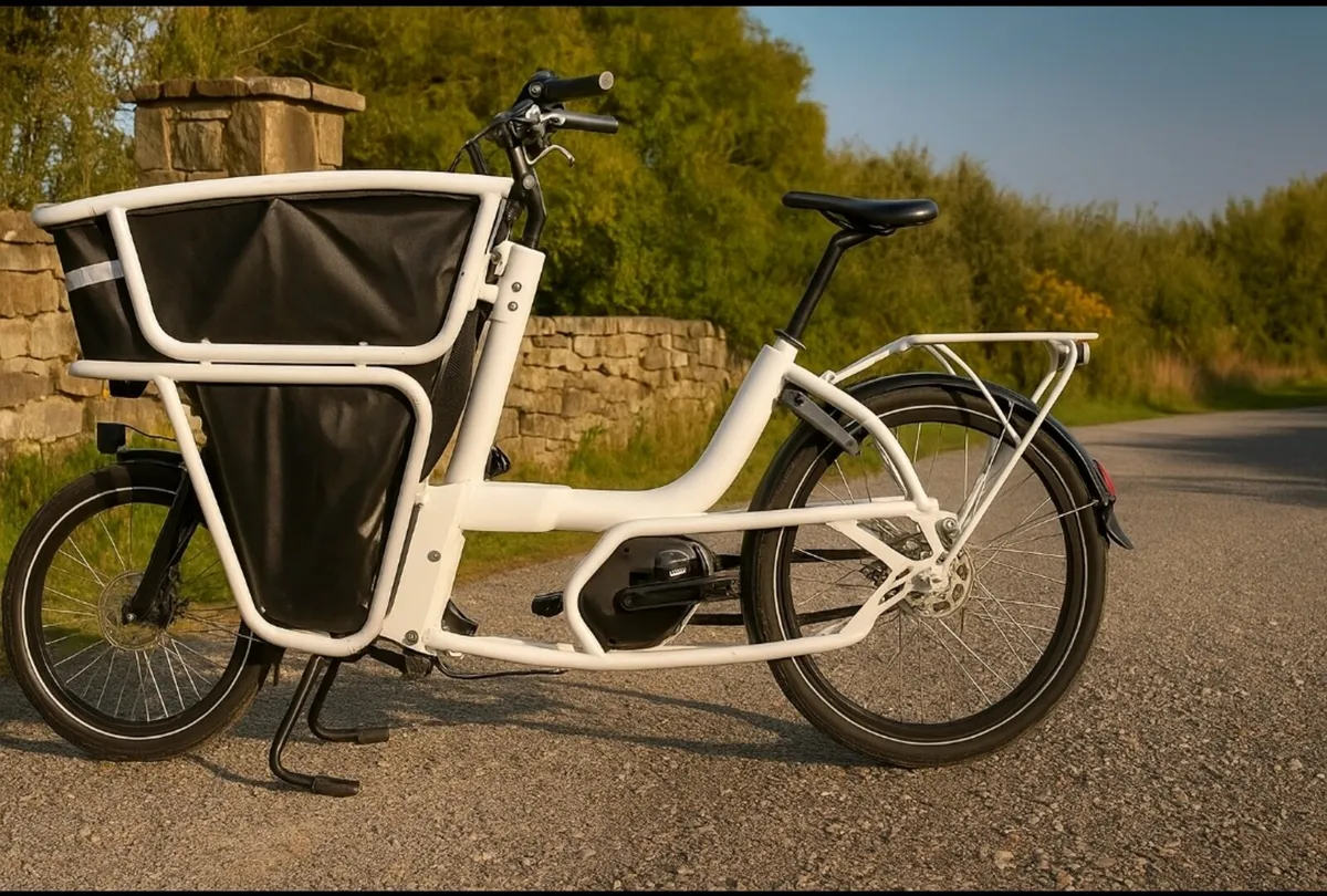 CARGO EBIKE BOSCH - Image 1
