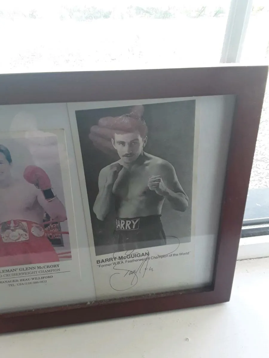 Boxing signed pictures bruno  mcguigan - Image 4