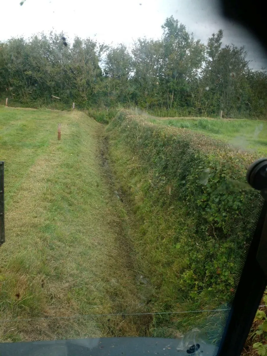 Hedgecutting service - Image 1