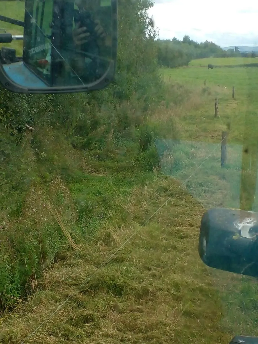 Hedgecutting service - Image 2