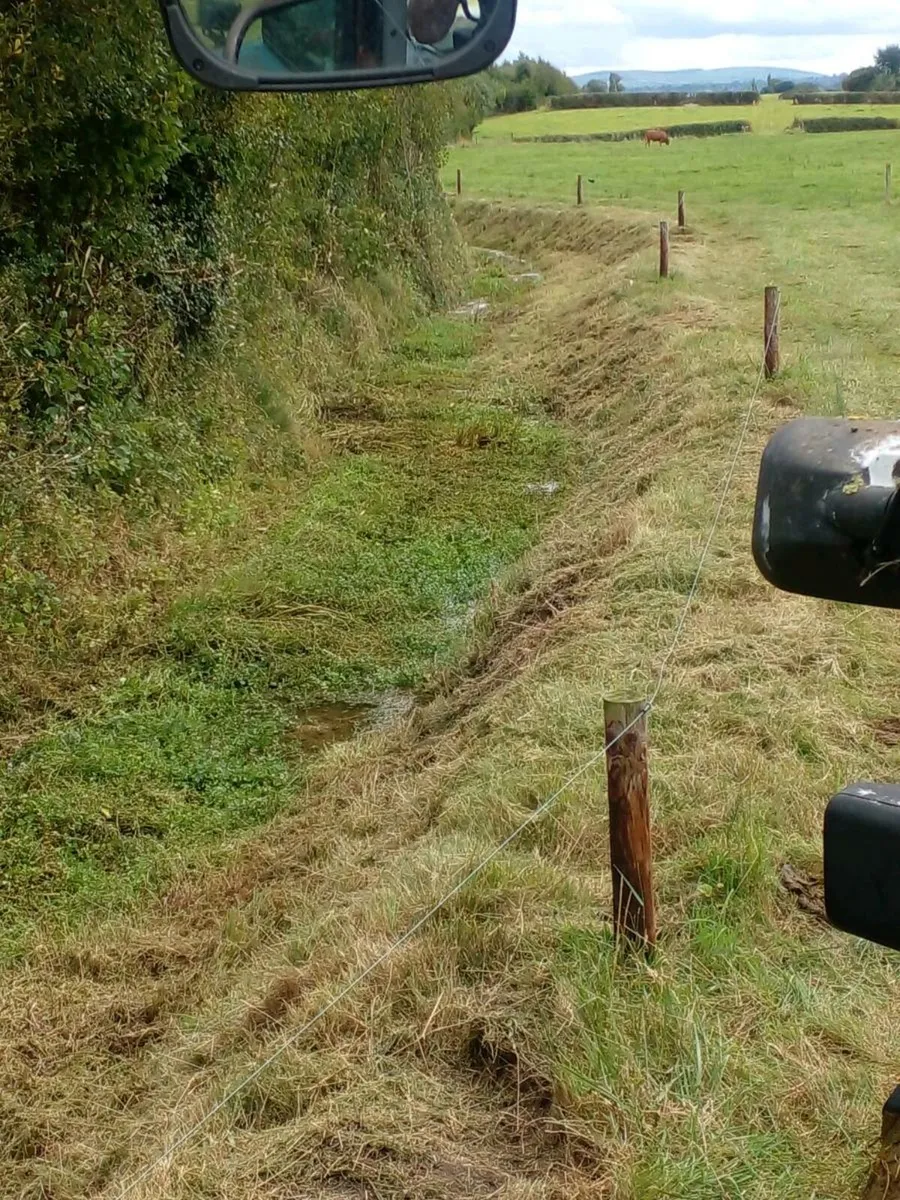 Hedgecutting service - Image 4