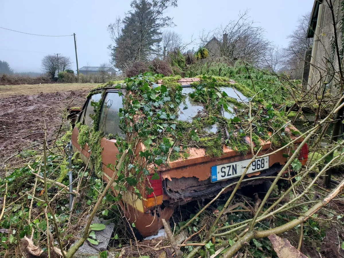 Ford Fiesta 1980 Hatchback - FREE - Image 2