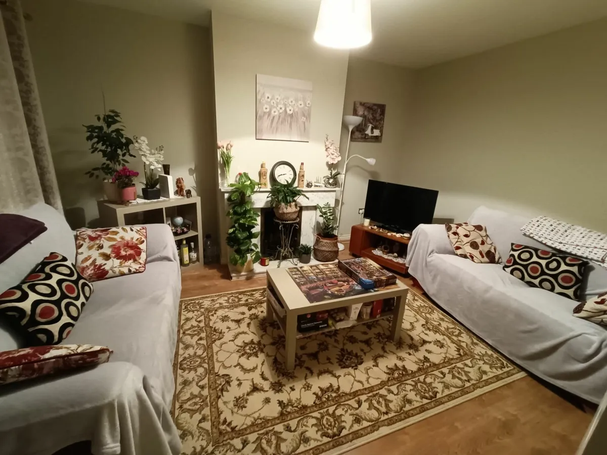 Extra large rug - Image 2