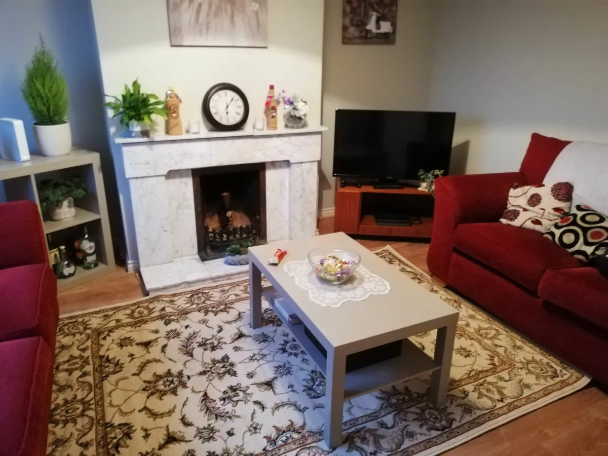Extra large rug - Image 3