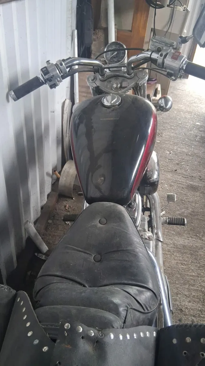 Honda steed - Image 4