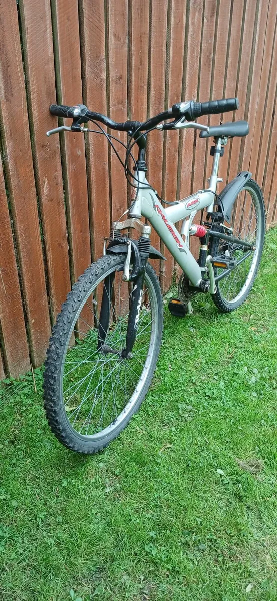 Bicycles - Image 3