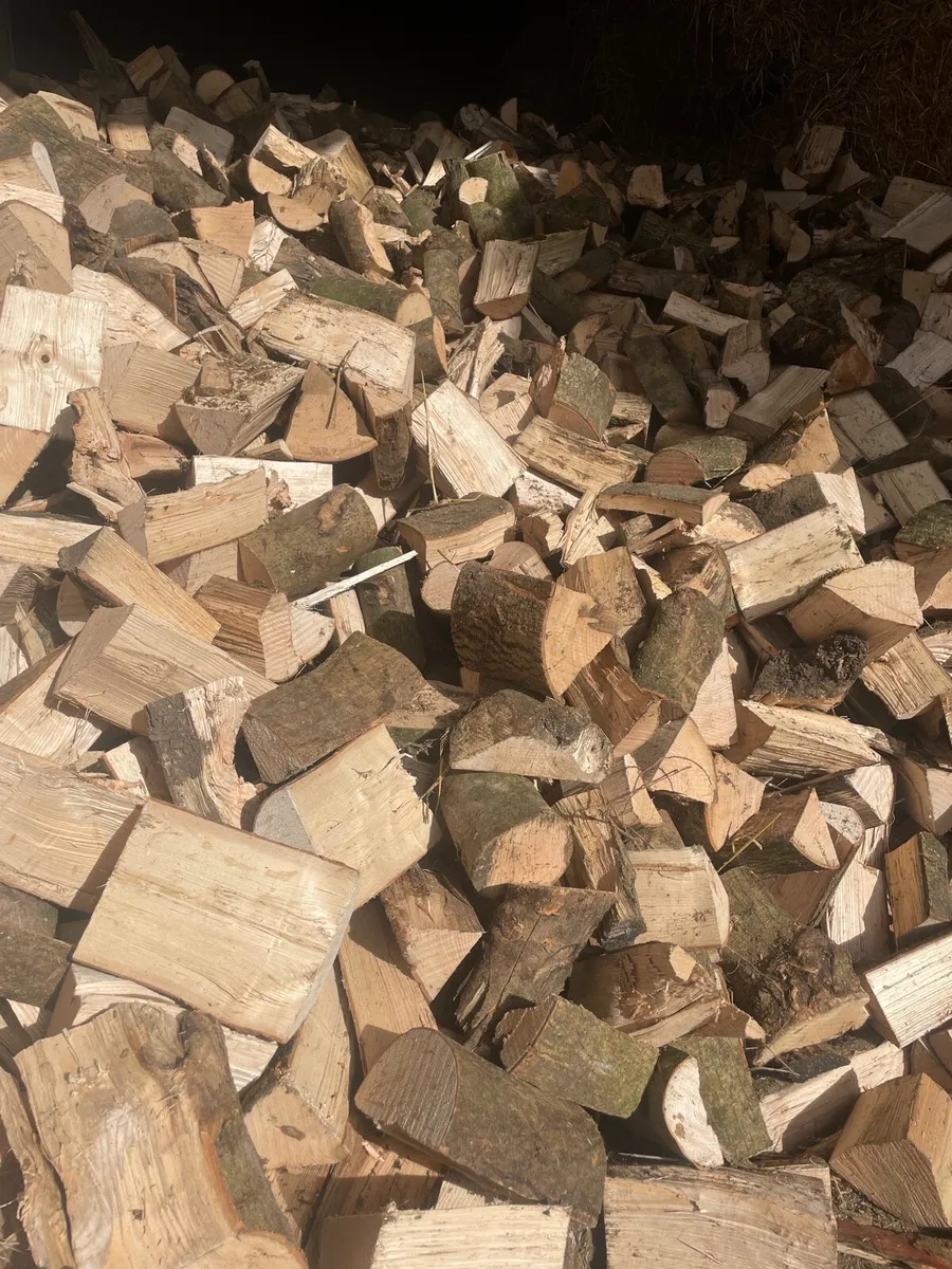 Fire wood - Image 2