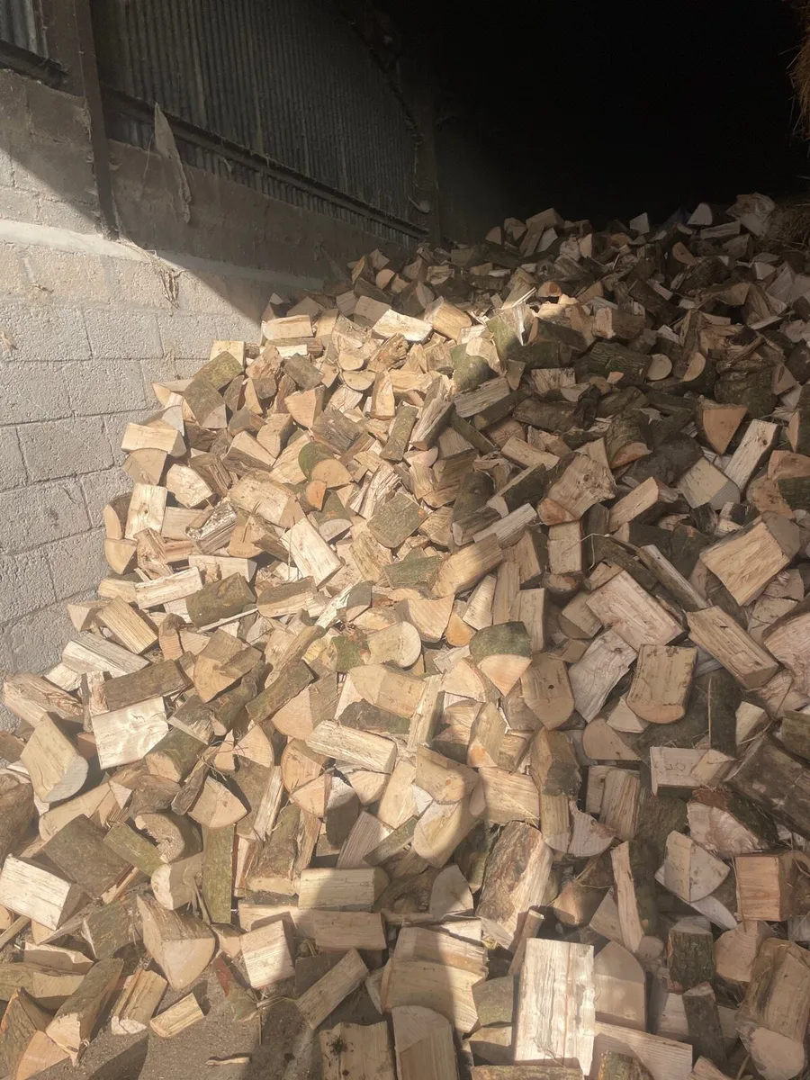 Fire wood - Image 1