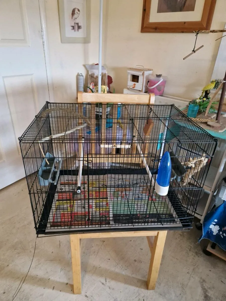 Bird cage - Image 1