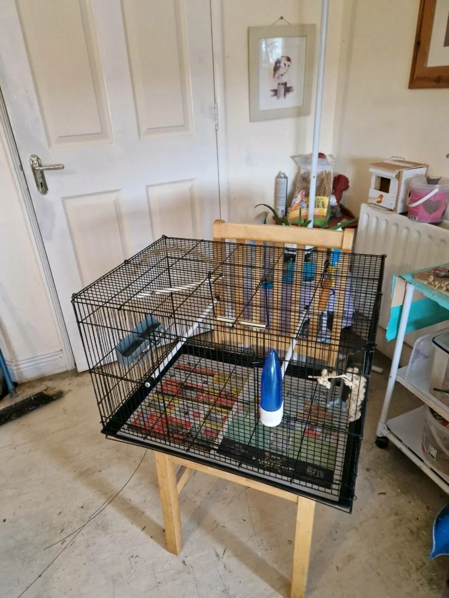 Bird cage - Image 2
