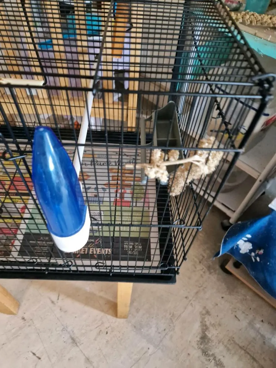 Bird cage - Image 3