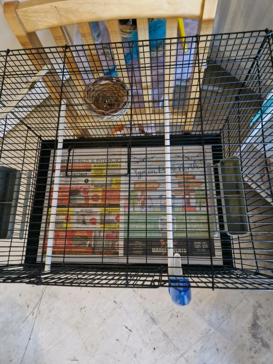 Bird  cage and transport box - Image 4
