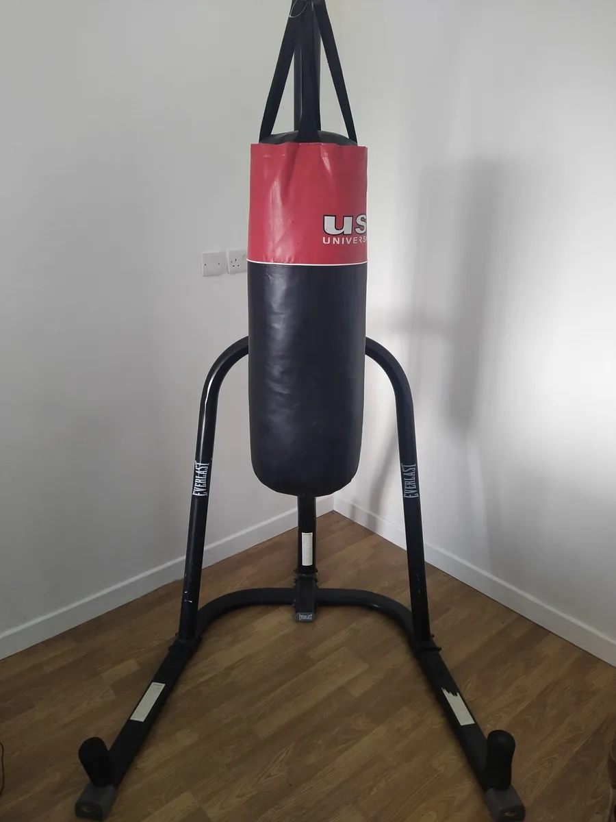 Boxing punch bag