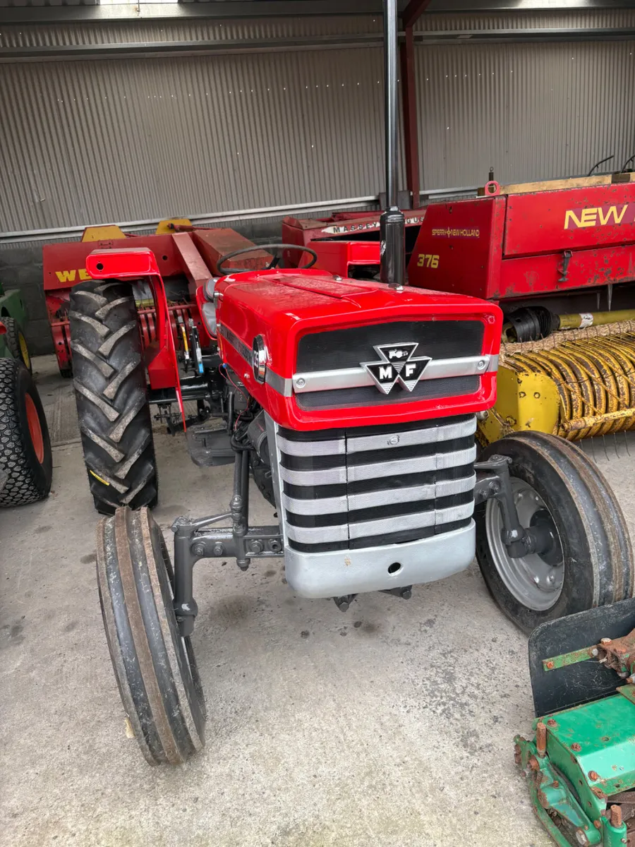 Massey Ferguson  135 - Image 3