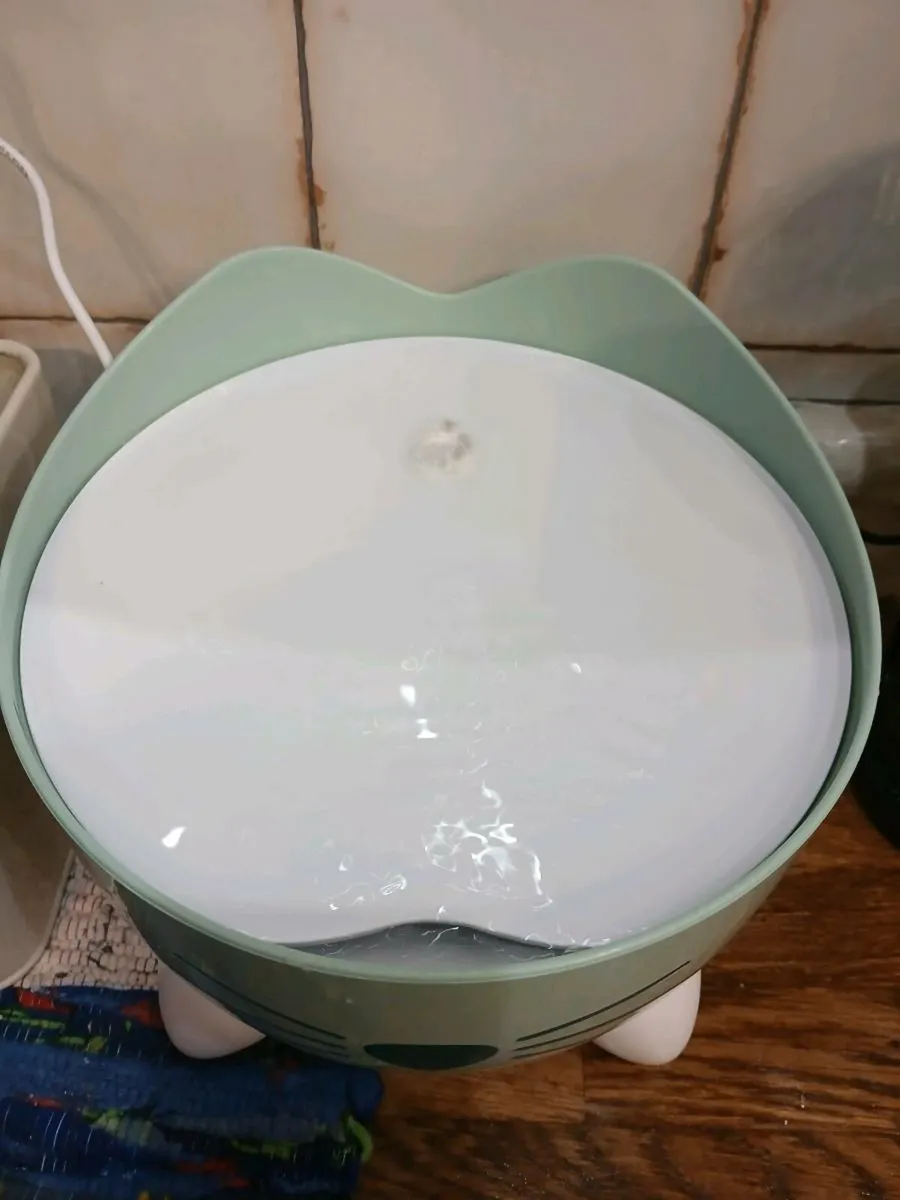 Cat Fountain - Image 2