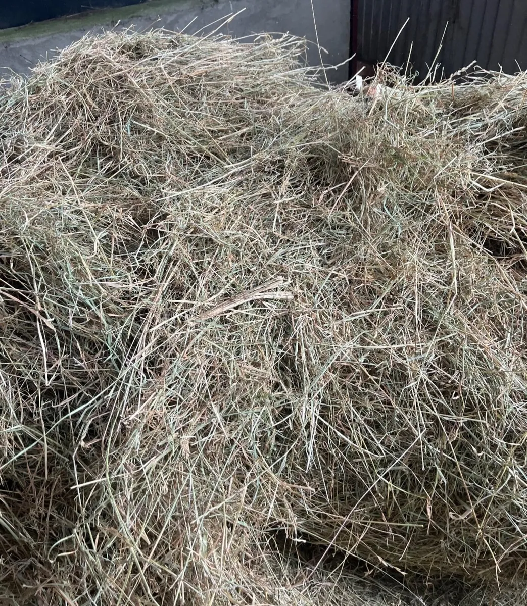 Wrapped hay  1st Cut, Horses, Sheep, Cattle - Image 1