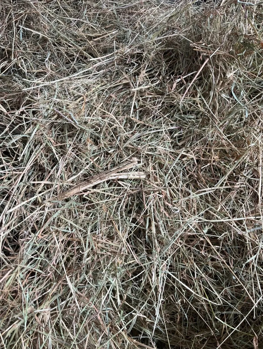 Wrapped hay  1st Cut, Horses, Sheep, Cattle - Image 2