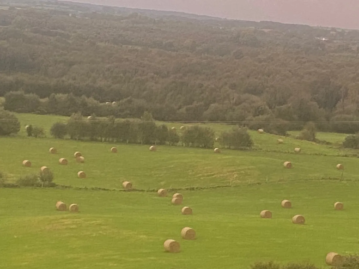 Round Bales of Organic Hay (117  Bales) for Sale