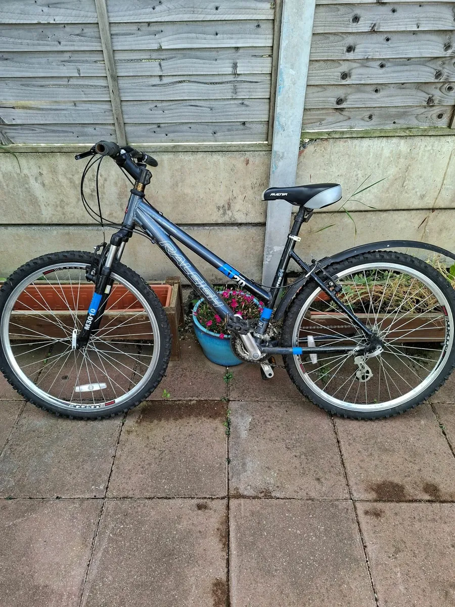 Bicycles - Image 1