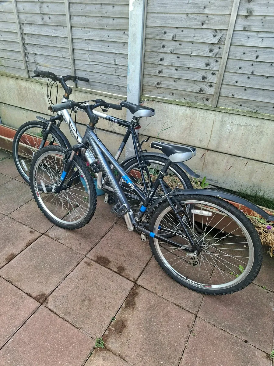 Bicycles - Image 3
