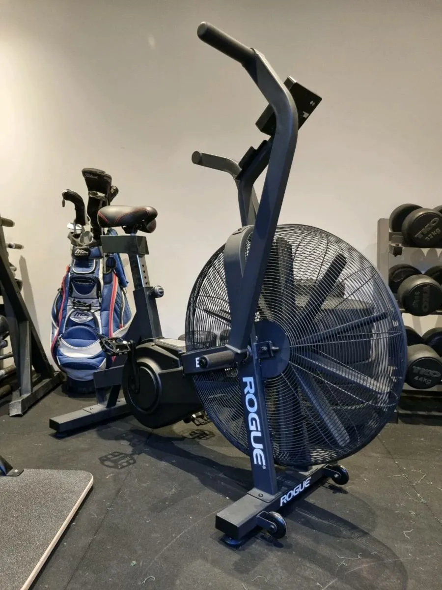 Rogue Echo assault bike - Image 1