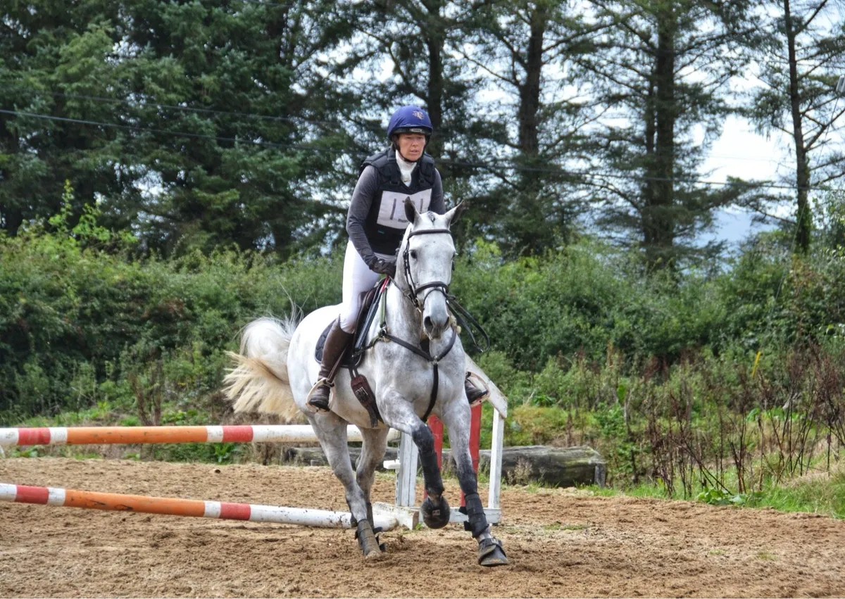 16HH  All rounder - Image 1