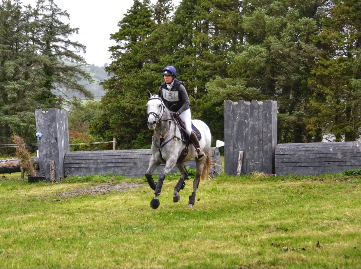 16HH  All rounder - Image 3