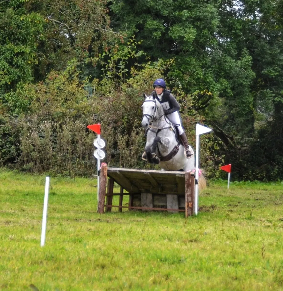 16HH  All rounder - Image 4