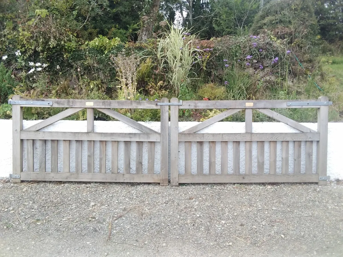 Driveway or garden gates - Image 1