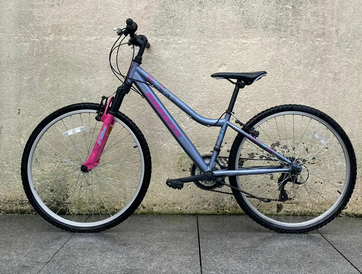 Bicycle - Image 2