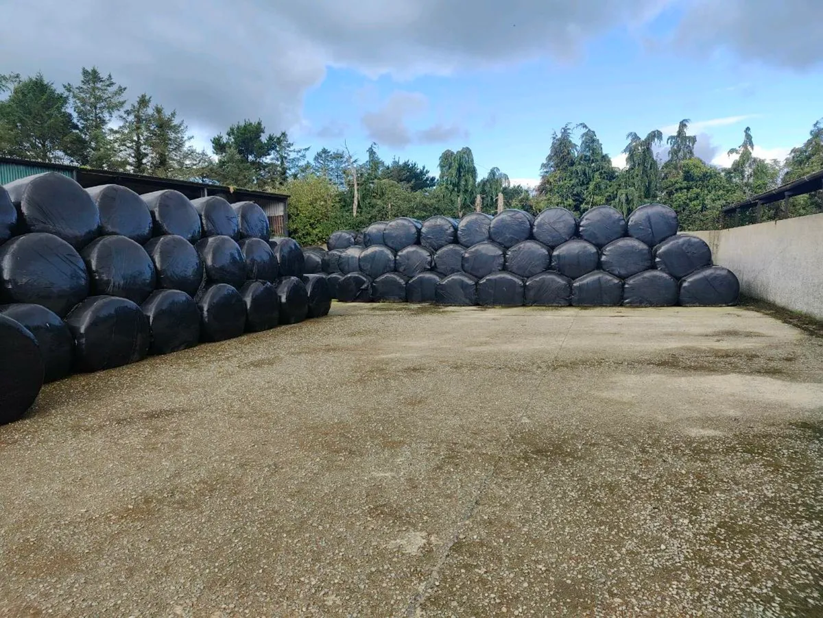 Top quality Silage bales - Image 3