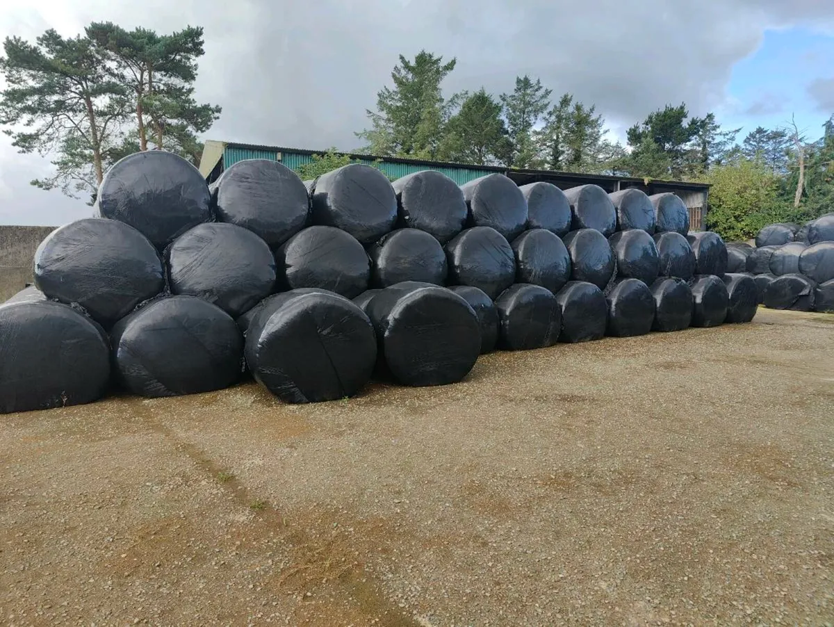 Top quality Silage bales - Image 4