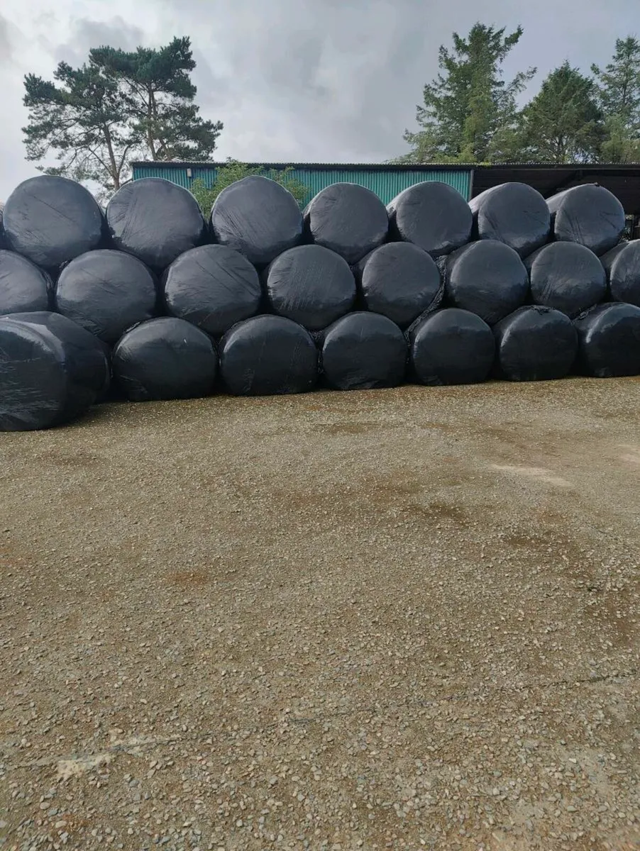 Top quality Silage bales - Image 1