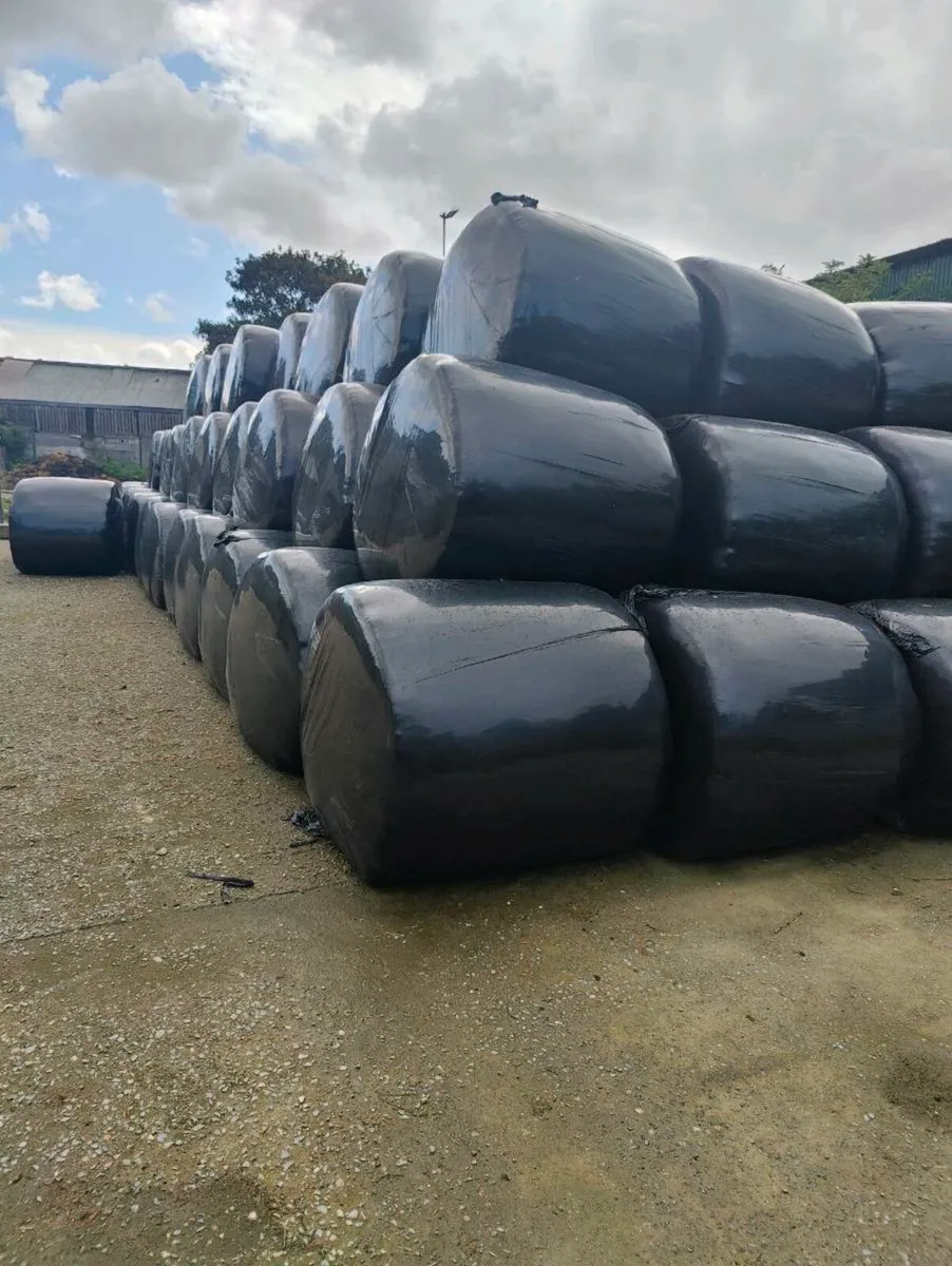 Top quality Silage bales - Image 2