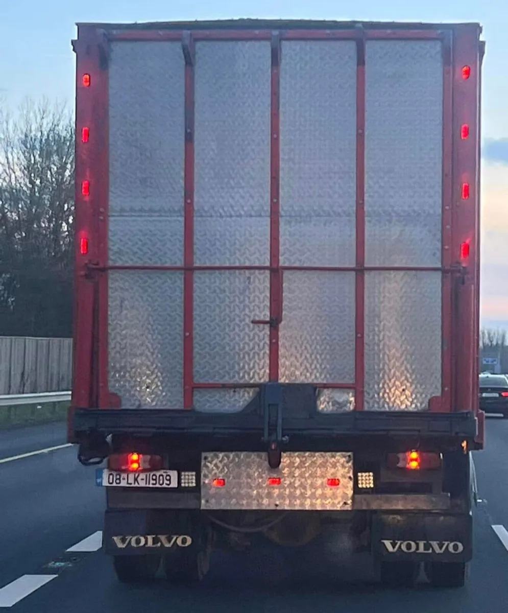 Volvo  livestock truck (horse) - Image 3