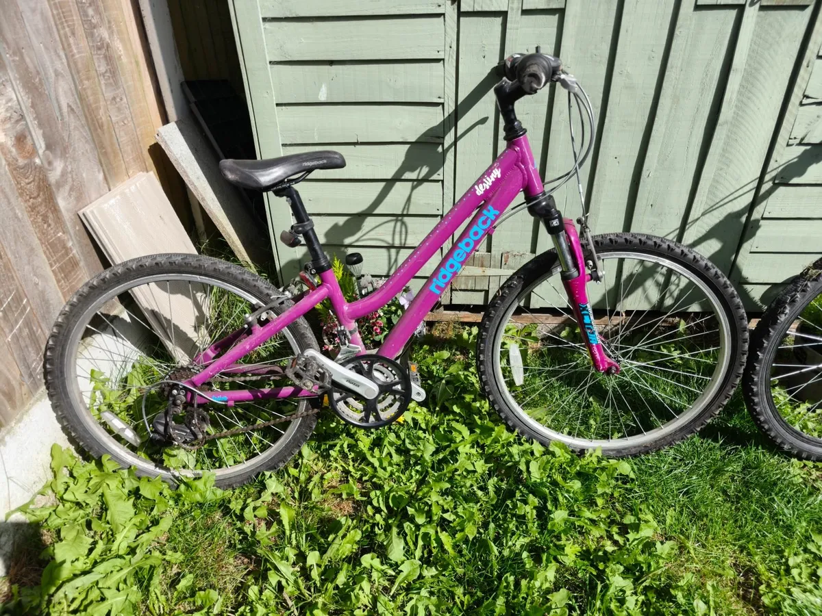 Bicycle - Image 2