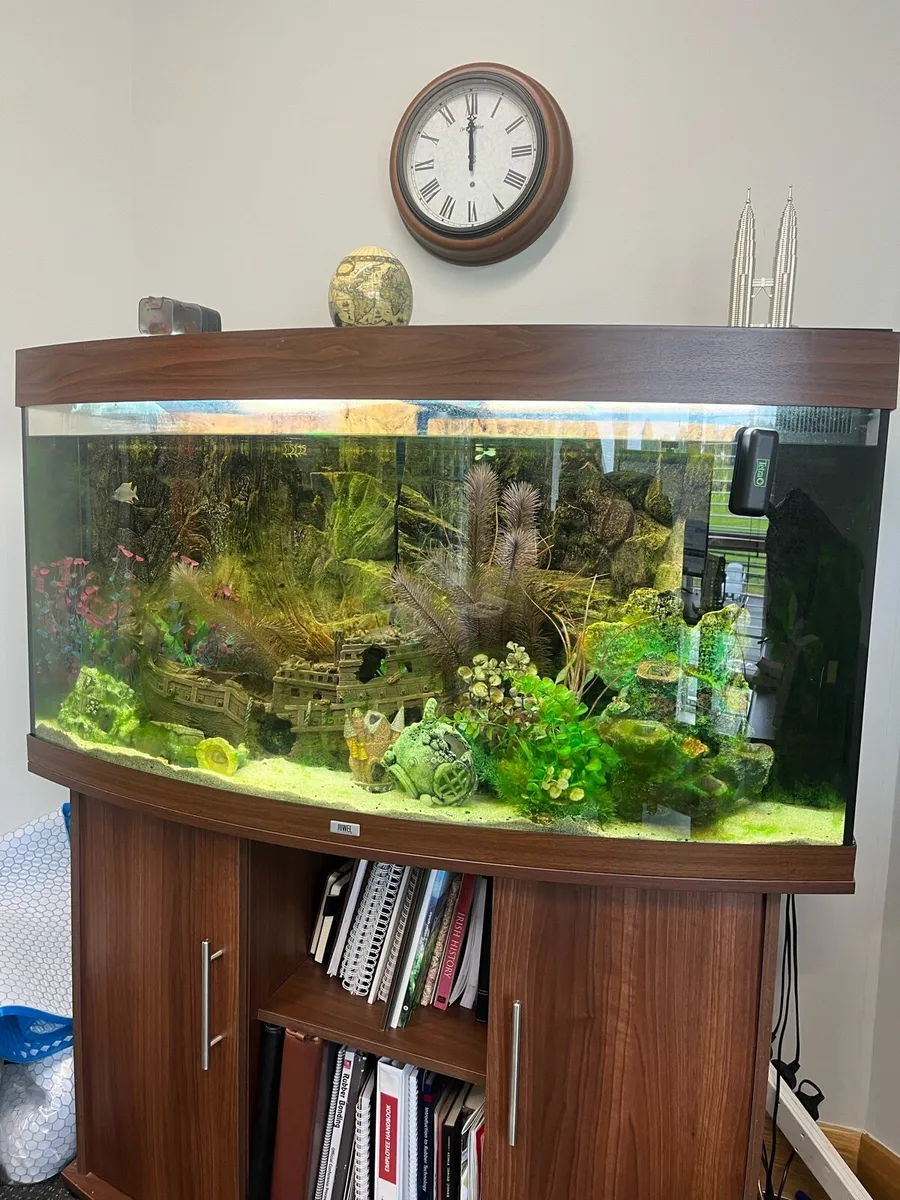 Aquarium for sale - Image 1